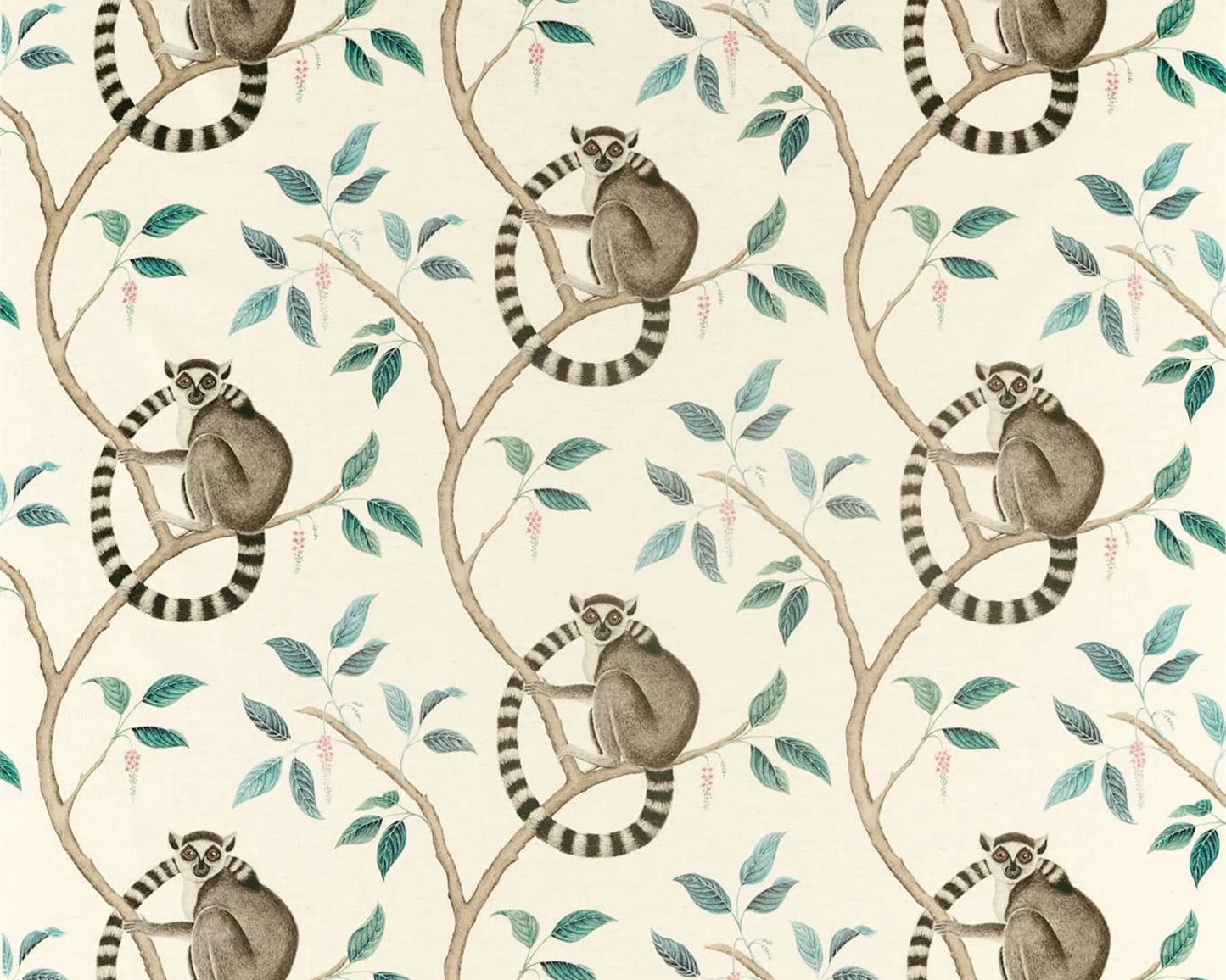 Sanderson Ringtailed Lemur Grey