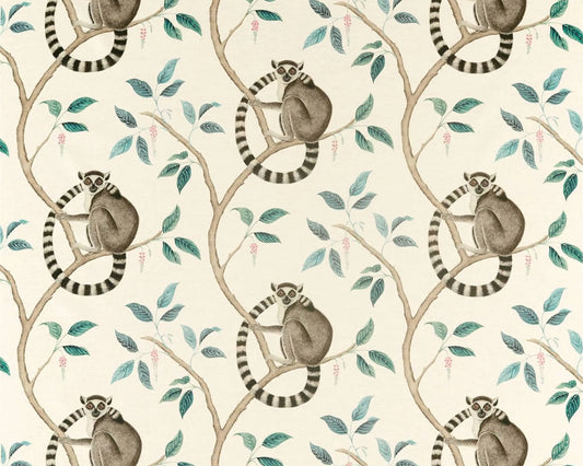 Sanderson Ringtailed Lemur Grey