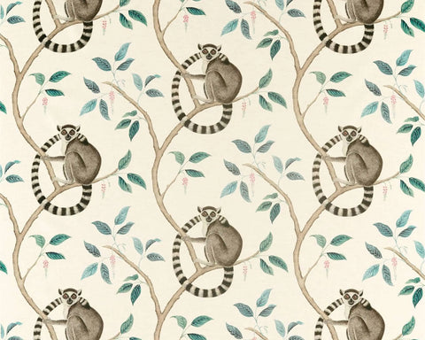 Sanderson Ringtailed Lemur Grey