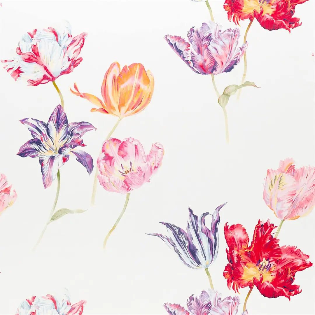 Sandersons Tulipmania Botanical