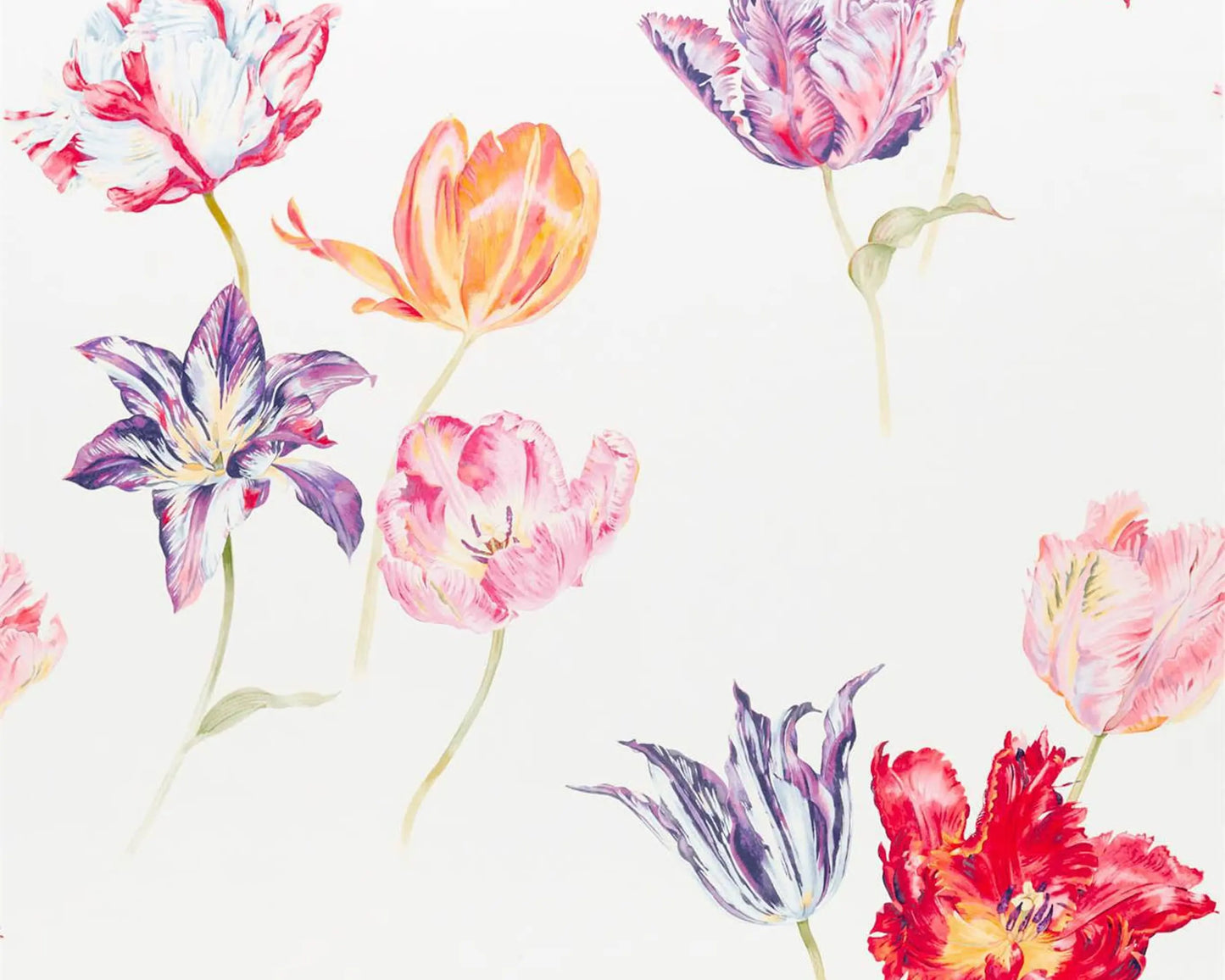 Sanderson Tulipomania Botanical