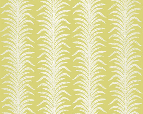 Sanderson Tree Fern Weave Lime