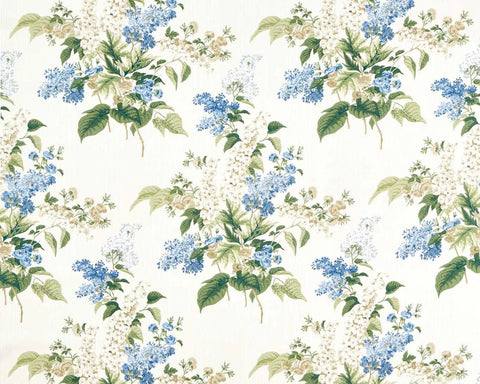 Sanderson Delphinium & Lilac Larkspur Blue