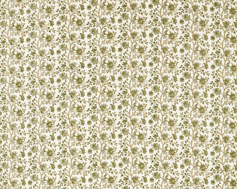 Sanderson Azalea Walk Olivine
