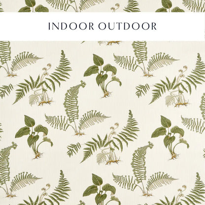 Sanderson Hosta & Fern Indoor Outdoor Olivine