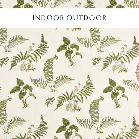 Sanderson Hosta & Fern Indoor Outdoor Olivine