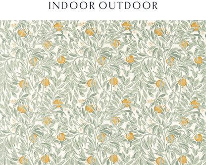 Sanderson Ancient Apple Orchard Indoor Outdoor Golden Knot & Sage