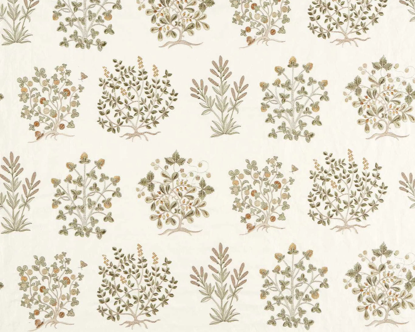 Sanderson Thyme Walk Lichen/Gooseberry
