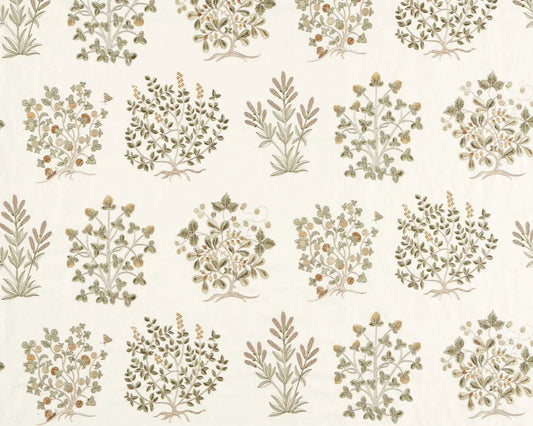 Sanderson Thyme Walk Lichen/Gooseberry