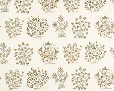 Sanderson Thyme Walk Lichen/Gooseberry