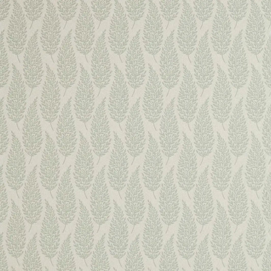 Sanderson Elm Fennel