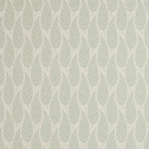 Sanderson Elm Fennel