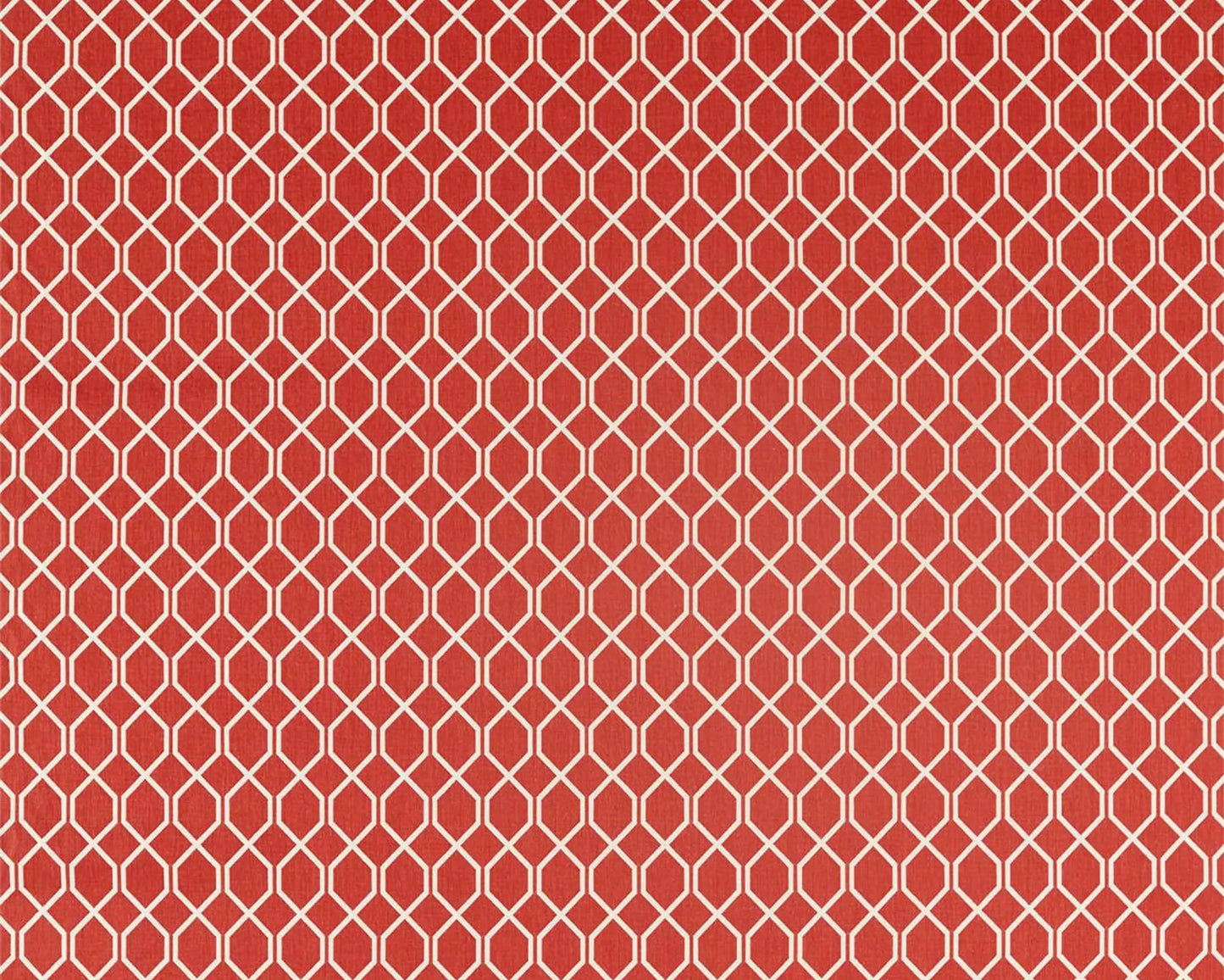 Sanderson Botanic Trellis Bengal Red