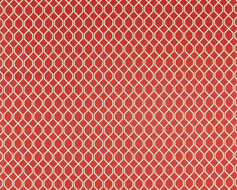 Sanderson Botanic Trellis Bengal Red