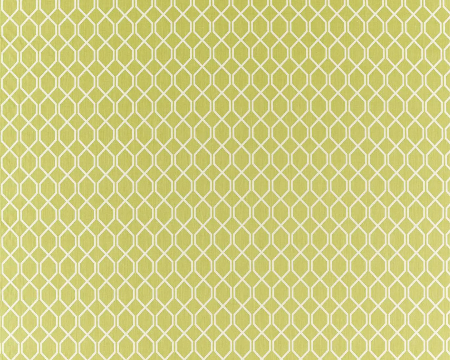 Sanderson Botanic Trellis Lime