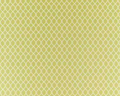 Sanderson Botanic Trellis Lime