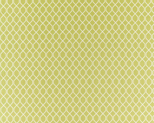 Sanderson Botanic Trellis Lime