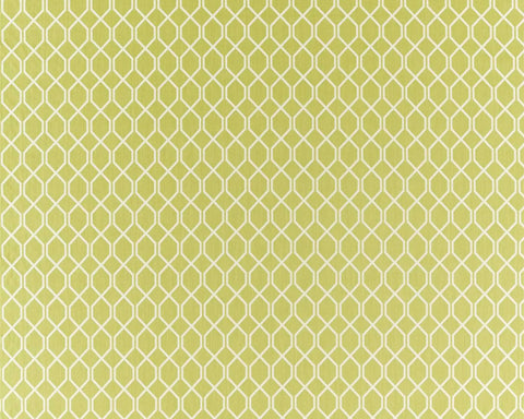 Sanderson Botanic Trellis Lime