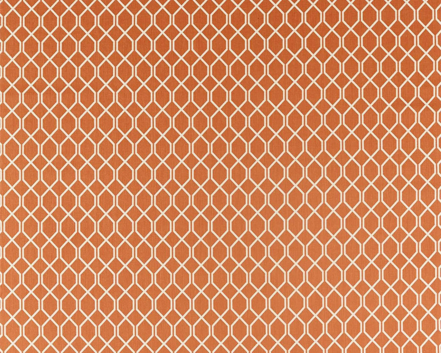 Sanderson Botanic Trellis Papaya