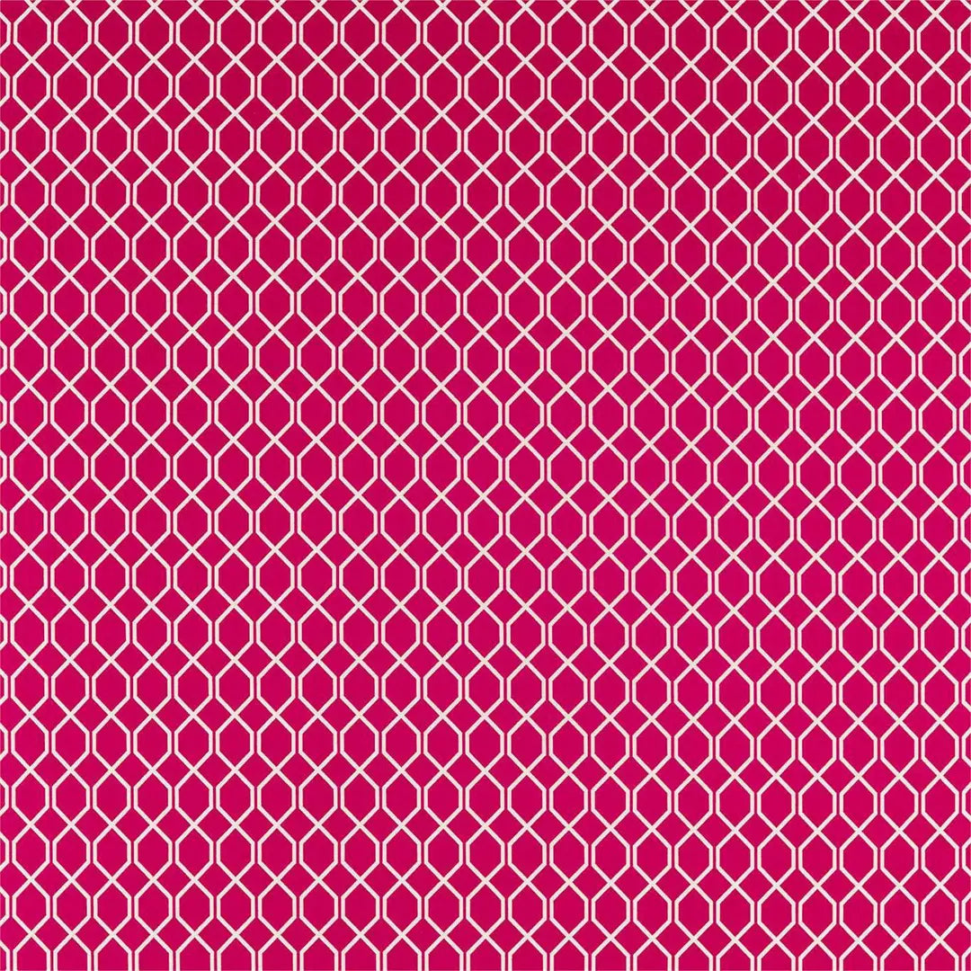 Sanderson Botanic Trellis Rhodera