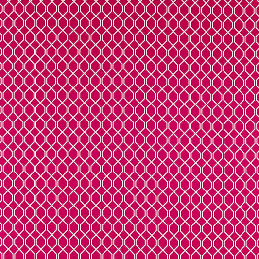 Sanderson Botanic Trellis Rhodera
