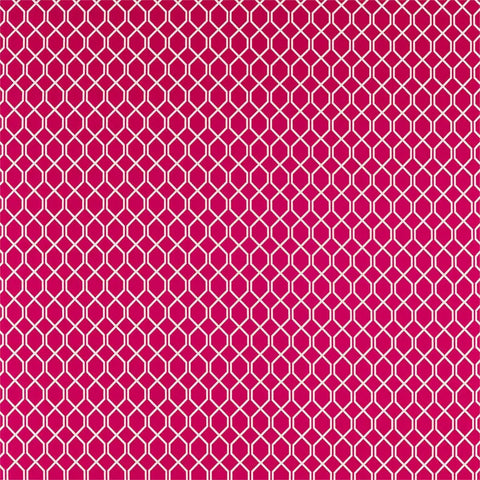 Sanderson Botanic Trellis Rhodera