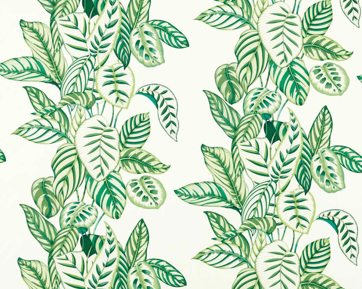 Sanderson Calathea Botanical Green