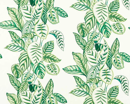 Sanderson Calathea Botanical Green
