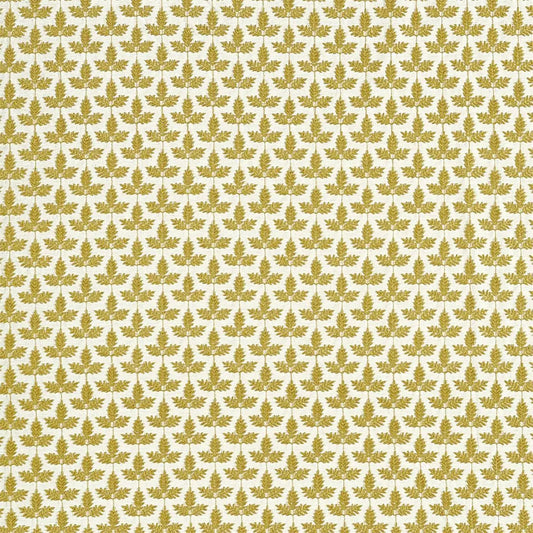 Sanderson Felix Olive