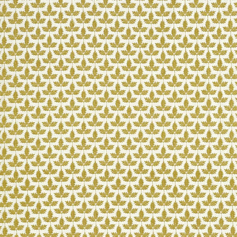 Sanderson Felix Olive