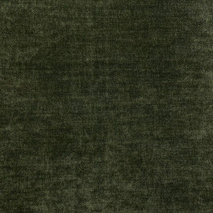Fibre Naturelle Dolphin Moss