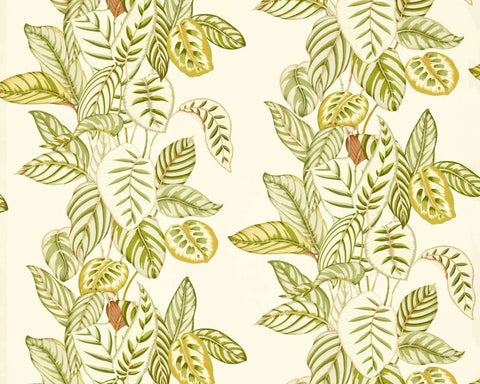 Sanderson Calathea Samphire