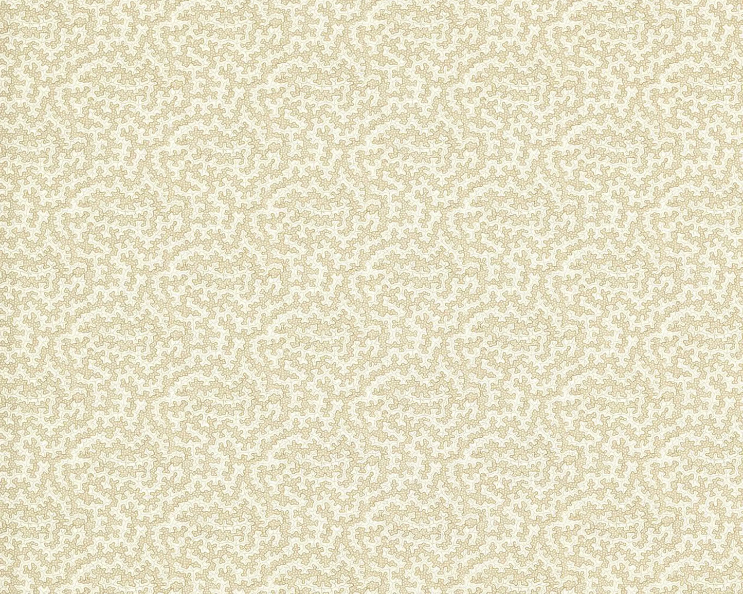 Sanderson Truffle Sand Dollar