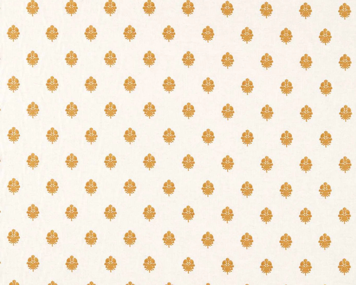 Sanderson Lavanga Turmeric