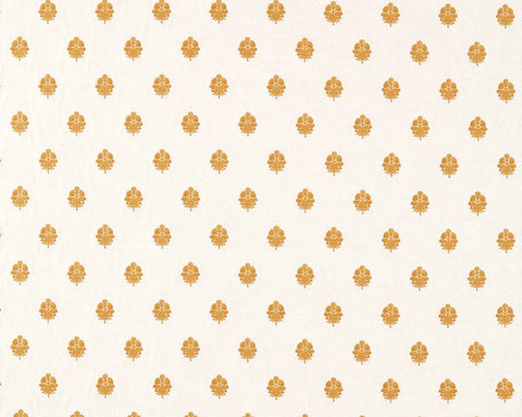 Sanderson Lavanga Turmeric