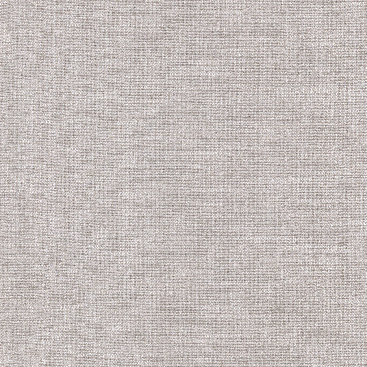 Warwick Durham Abalone