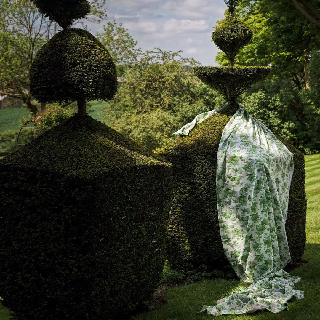 Sanderson Fig Hedera Green