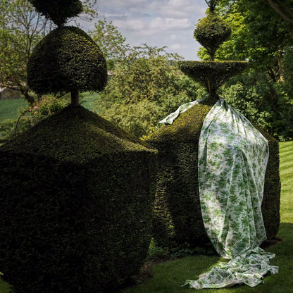 Sanderson Fig Hedera Green