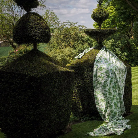 Sanderson Fig Hedera Green