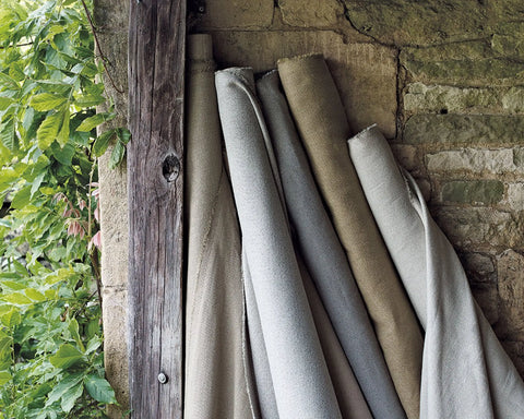 Sanderson Woodland Plain Mist