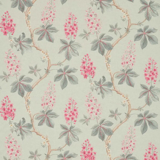 Sanderson Chestnut Tree Seaspray/Peony
