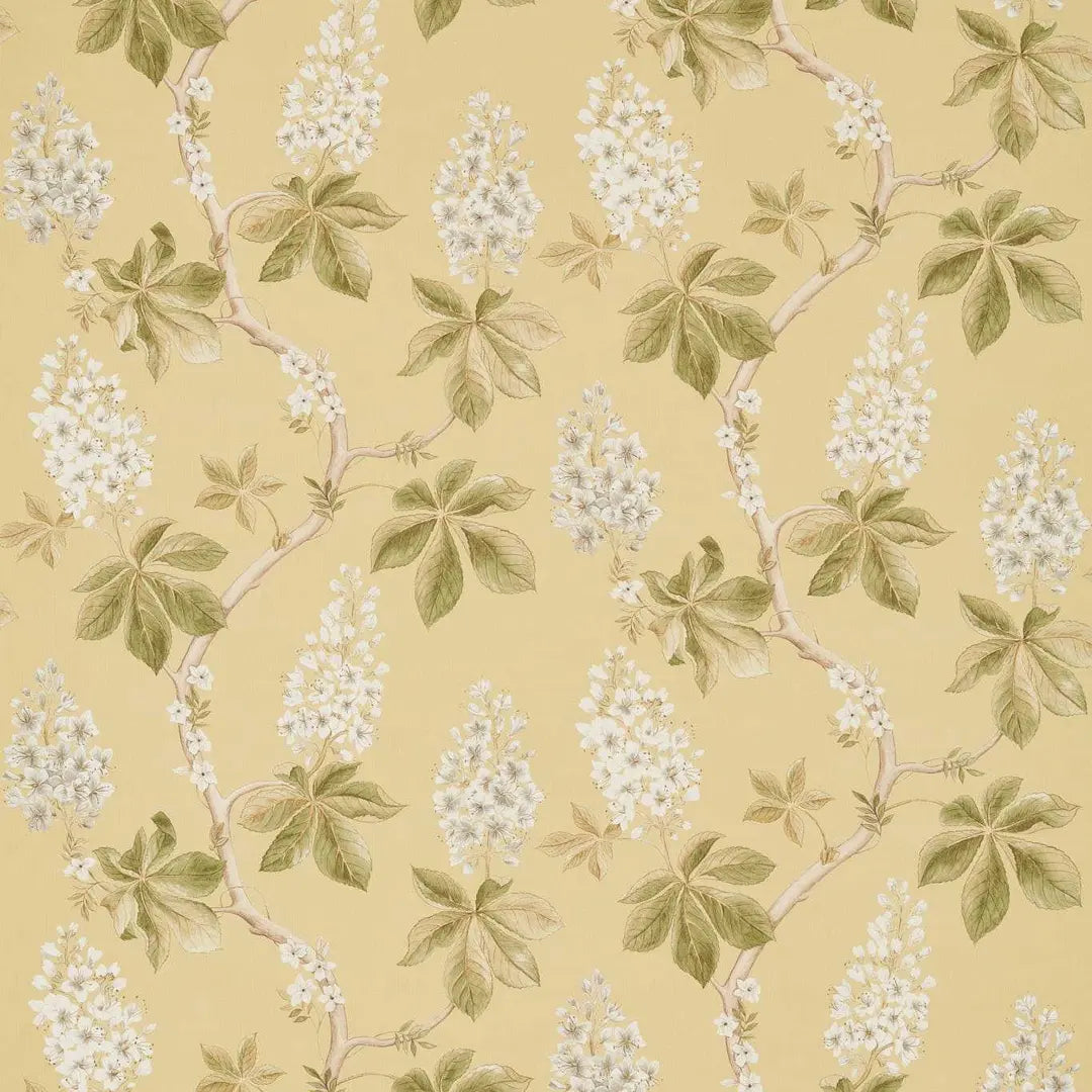 Sanderson Chestnut Tree Lemon/Lettuce