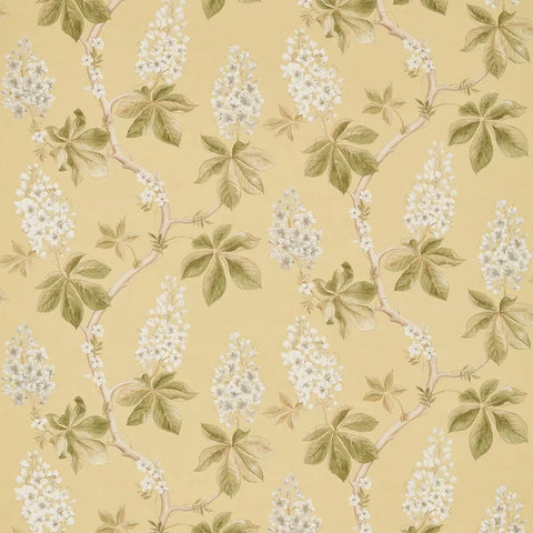 Sanderson Chestnut Tree Lemon/Lettuce