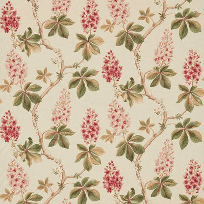 Sanderson Chestnut Tree Coral/Bayleaf