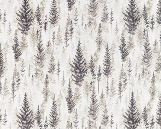 Sanderson Juniper Pine Elder Bark