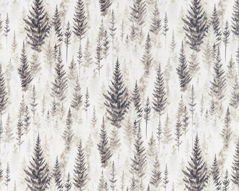 Sanderson Juniper Pine Elder Bark