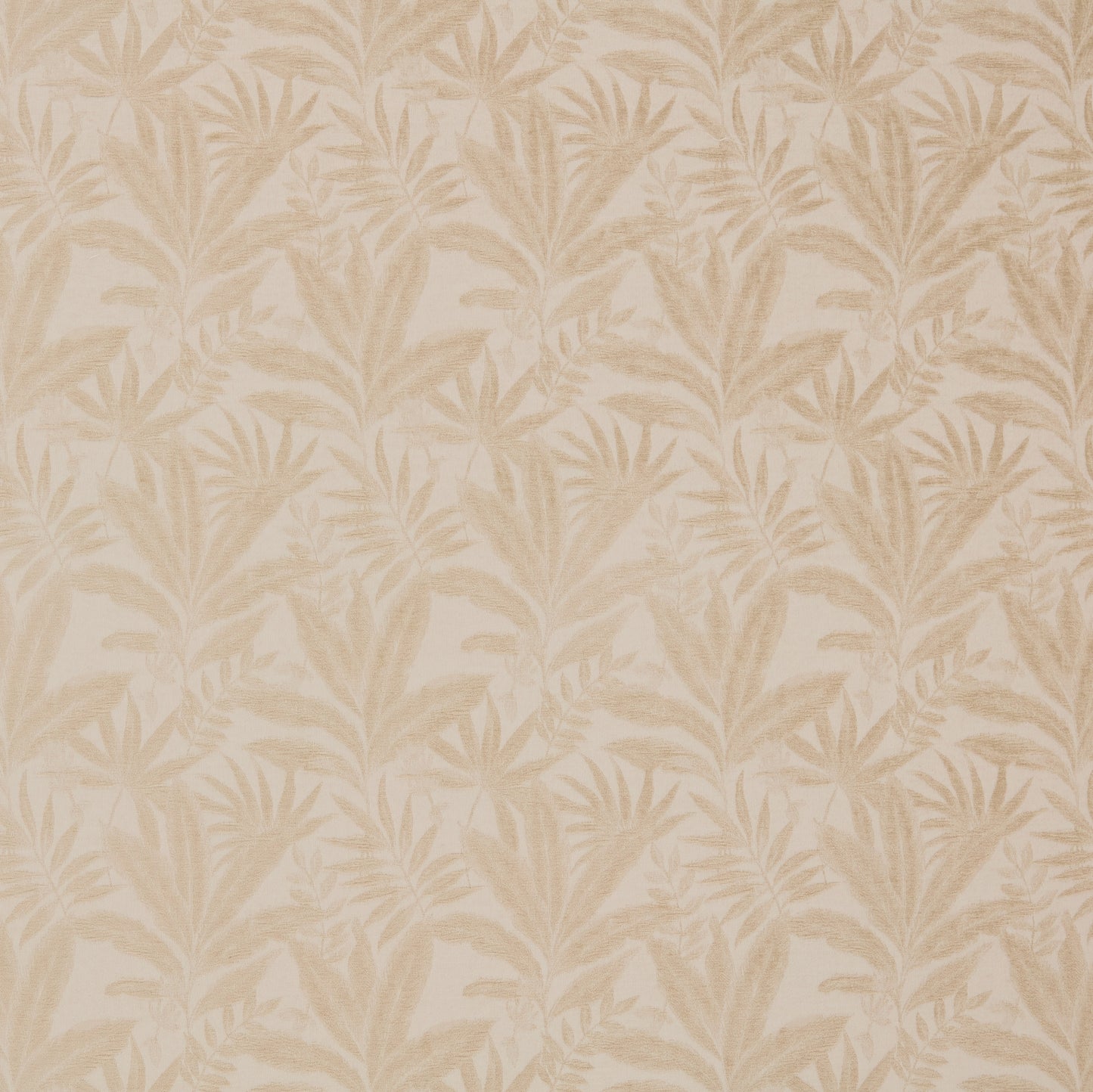 Warwick Dakota Natural