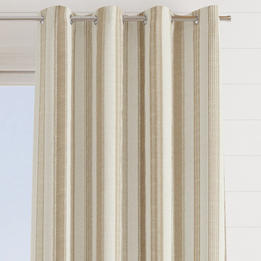 Chatham Glyn Darwin Sunflower