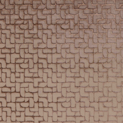 Warwick Eames Rose
