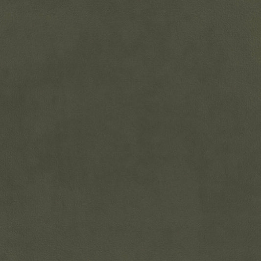 Warwick Eco-Velvet Clover